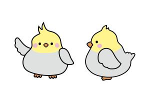 たかしま あやこ (ayako_takashima)さんの家を買う方向けのサイトのオカメインコのキャラクターデザインへの提案