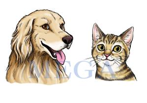 MEGA (MEGA)さんの動物病院グループ 株式会社 WOLVES Handのイメージキャラクターデザインへの提案