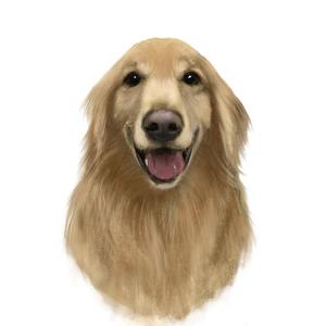 tamatsune (tamatsune)さんの動物病院グループ 株式会社 WOLVES Handのイメージキャラクターデザインへの提案