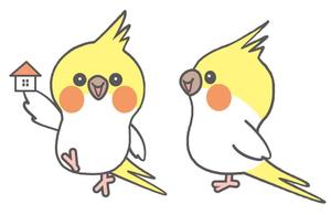 sachi (sachi-365)さんの家を買う方向けのサイトのオカメインコのキャラクターデザインへの提案