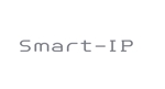 agmmgw (agmmgw)さんのITベンチャー企業「Smart-IP」のロゴ【選定確約】への提案