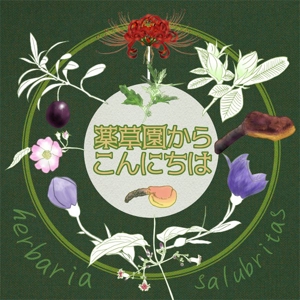 袋鵜の豆本屋　こうづあきら (akira_koudzu_torikawa)さんのポッドキャスト番組「薬草園からこんにちは」のカバーアート（ロゴ/アートワーク）作成への提案