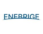 tora (tora_09)さんの新規電力事業ブランド「エネブリッジ - ENEBRIDGE」のロゴ制作への提案