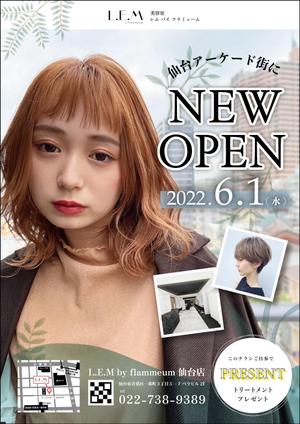 Ono Y (mirin_yo)さんの6月にNEW OPENする美容室のチラシデザインへの提案