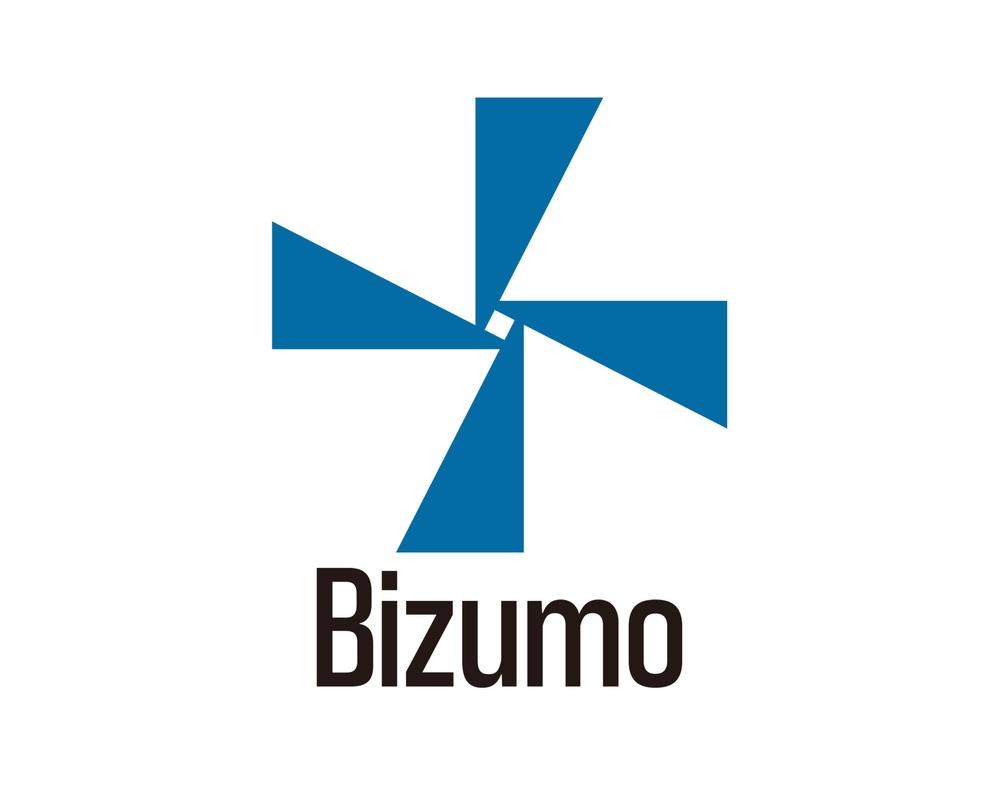 Bizumo-5.jpg