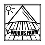 LEO Designs (antleo)さんの農園ファーム「E-WORKS FARM」のロゴへの提案