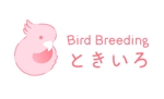 株式会社ソーシャルプランニング流 (sp-nagare)さんの事業名「Bird Breeding ときいろ」のロゴ。への提案