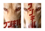growth (G_miura)さんの商用可能な犬の画像に指定の言葉を入れた画像を作成してほしいです。への提案