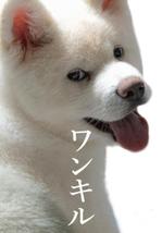 大橋敦美 ()さんの商用可能な犬の画像に指定の言葉を入れた画像を作成してほしいです。への提案