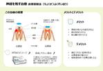 yama-hiro_パワポ資料デザイン (under-m)さんの歯科治療の中の『神経を残す治療』の説明資料への提案