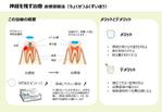 yama-hiro_コンサルタント (under-m)さんの歯科治療の中の『神経を残す治療』の説明資料への提案