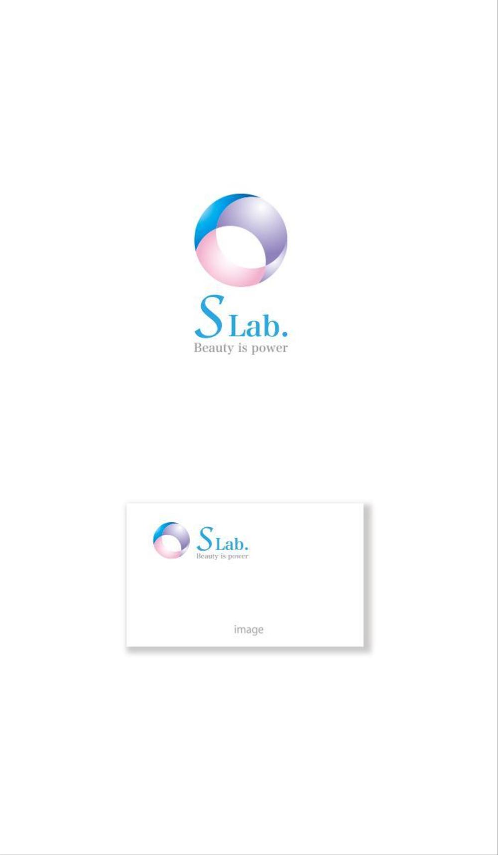 S Lab. logo_serve.jpg
