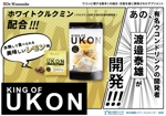 村中 隆誓 (Ryusei_100102)さんのウコンサプリメント　KING OF UKON　のポスターデザイン作成依頼への提案
