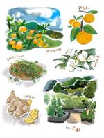 yasuha0903さんの静岡の田舎の豊かな自然と温かな雰囲気が伝わる風景イラストへの提案