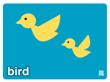 英単語カード-鳥.jpg