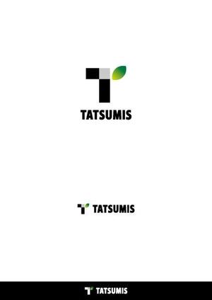 ヘブンイラストレーションズ (heavenillust)さんの不動産リノベーションの会社「合同会社TATSUMIS」のロゴへの提案