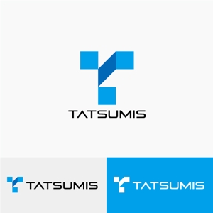 drkigawaさんの不動産リノベーションの会社「合同会社TATSUMIS」のロゴへの提案