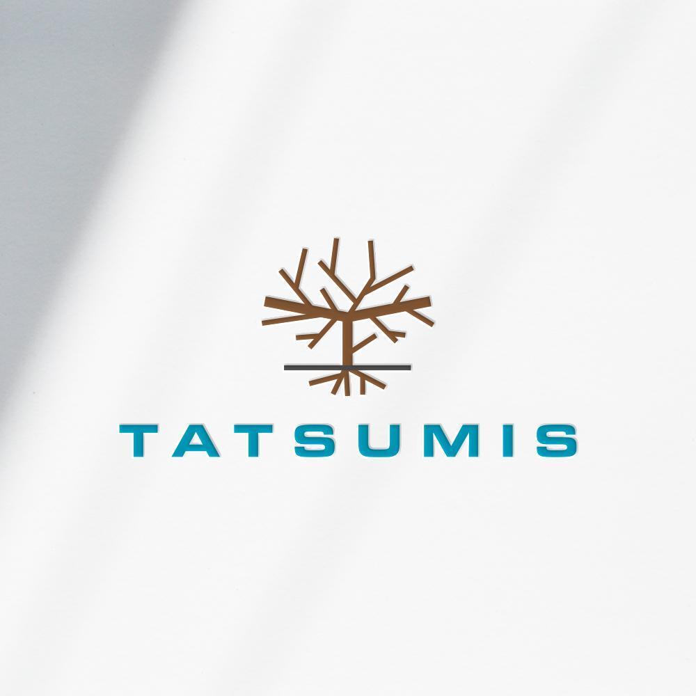 不動産リノベーションの会社「合同会社TATSUMIS」のロゴ