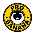 ris (risa2k)さんのプロバナナ(ProBanana)キッチンカーのロゴ製作への提案