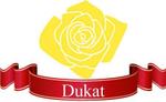 pythonic_mk2さんの「Dukat」のロゴ作成への提案