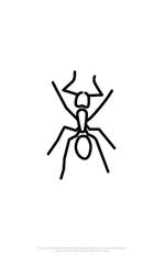 魔法スタジオ (mahou-phot)さんのTシャツワンポイント用アリ（蟻）のデフォルメされたキャラクターロゴへの提案