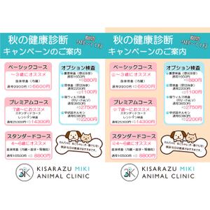 mln888さんの動物病院のダイレクトメール　秋の健康診断への提案