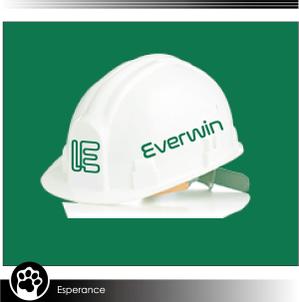 ki-to (ki-to)さんのEVERWIN社のロゴ - プラント(工場)配管工事への提案