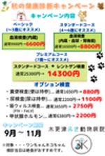 kiyomi0719 (kiyomi0719)さんの動物病院のダイレクトメール　秋の健康診断への提案