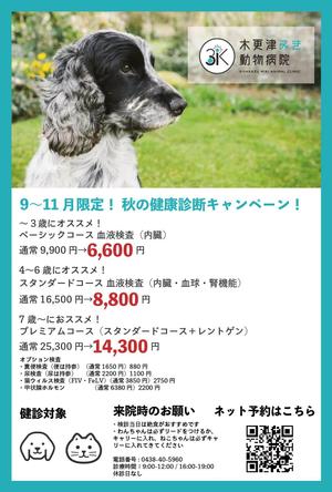 KE (KeitaEnomoto)さんの動物病院のダイレクトメール　秋の健康診断への提案