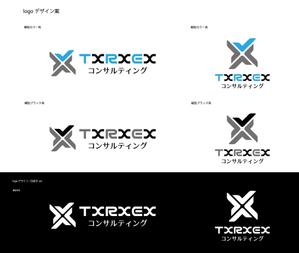 SUPLEY_ad (ad_infinity007)さんのコンサルティング会社　「 TXRXEX コンサルティング」のロゴへの提案