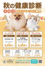 飯田 (Chiro_chiro)さんの動物病院のダイレクトメール　秋の健康診断への提案