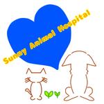 wizwiz222さんの動物病院ロゴ『Sunny Animal Hospital in Cambodia』への提案