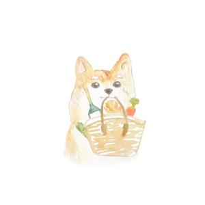fujiko  イラストレーター  (fujiko0812)さんのパッケージイラスト予定の犬のイラストへの提案