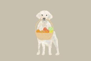 takaharu11さんのパッケージイラスト予定の犬のイラストへの提案