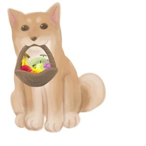 浅井真帆 (junandkuu)さんのパッケージイラスト予定の犬のイラストへの提案