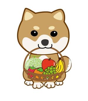 CUBE (cube1)さんのパッケージイラスト予定の犬のイラストへの提案