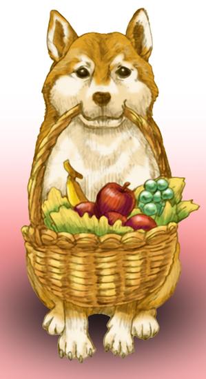 スミダ (sumidaT)さんのパッケージイラスト予定の犬のイラストへの提案