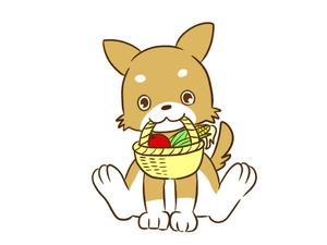 橙　ころも (daidaikoromo)さんのパッケージイラスト予定の犬のイラストへの提案