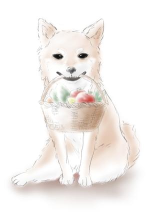 レイライカ (reiraika_053)さんのパッケージイラスト予定の犬のイラストへの提案