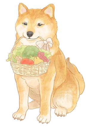 大道 レイチェル ()さんのパッケージイラスト予定の犬のイラストへの提案