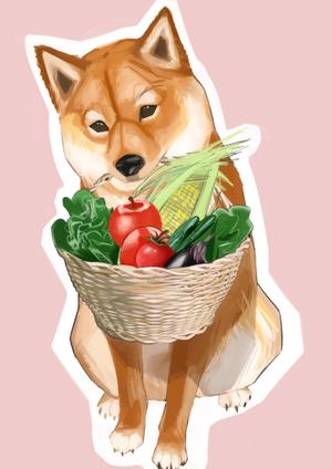 はるるた (haruruta-illust)さんのパッケージイラスト予定の犬のイラストへの提案