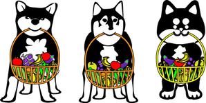 さんのパッケージイラスト予定の犬のイラストへの提案