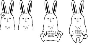 コマツジュンコ (nuts_72)さんのlECサイト「Litakara baby」刺繍デザイン　うさぎのイラストへの提案