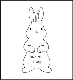 Sato (hosino_03)さんのlECサイト「Litakara baby」刺繍デザイン　うさぎのイラストへの提案