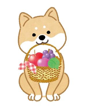 pinecone design (pinecone_)さんのパッケージイラスト予定の犬のイラストへの提案