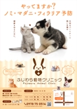 Fujiwara animal clinic sama_C_2.jpg
