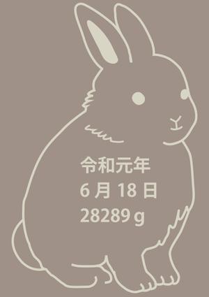 ヤマシタハルナ (nicoiti)さんのlECサイト「Litakara baby」刺繍デザイン　うさぎのイラストへの提案