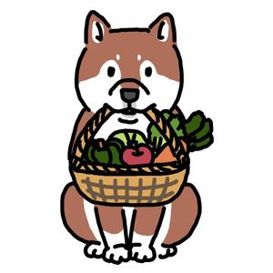 shimashimaco (shimashimaco)さんのパッケージイラスト予定の犬のイラストへの提案