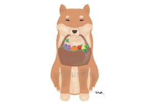 ナチュラコ/イラストレーター (naturako)さんのパッケージイラスト予定の犬のイラストへの提案