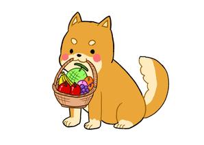 野々宮らぷあ (nonomiyarpa)さんのパッケージイラスト予定の犬のイラストへの提案